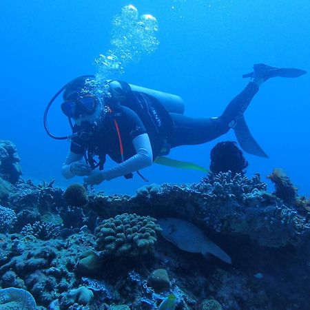 East Lombok Dive Hotel - 3 Private Rooms On The Beach With Seaview & Scuba Diving Center Labuhan Pandan Exterior foto