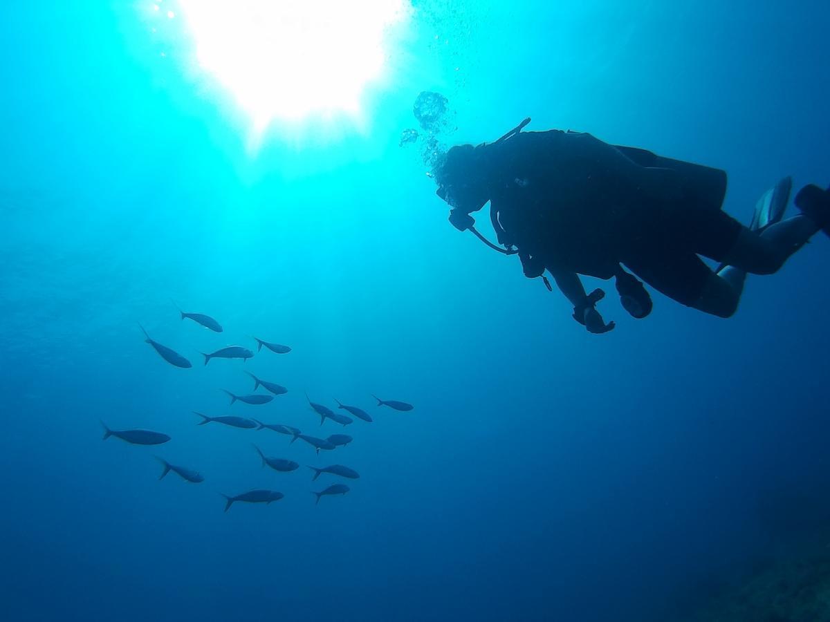 East Lombok Dive Hotel - 3 Private Rooms On The Beach Labuhan Pandan Exterior foto